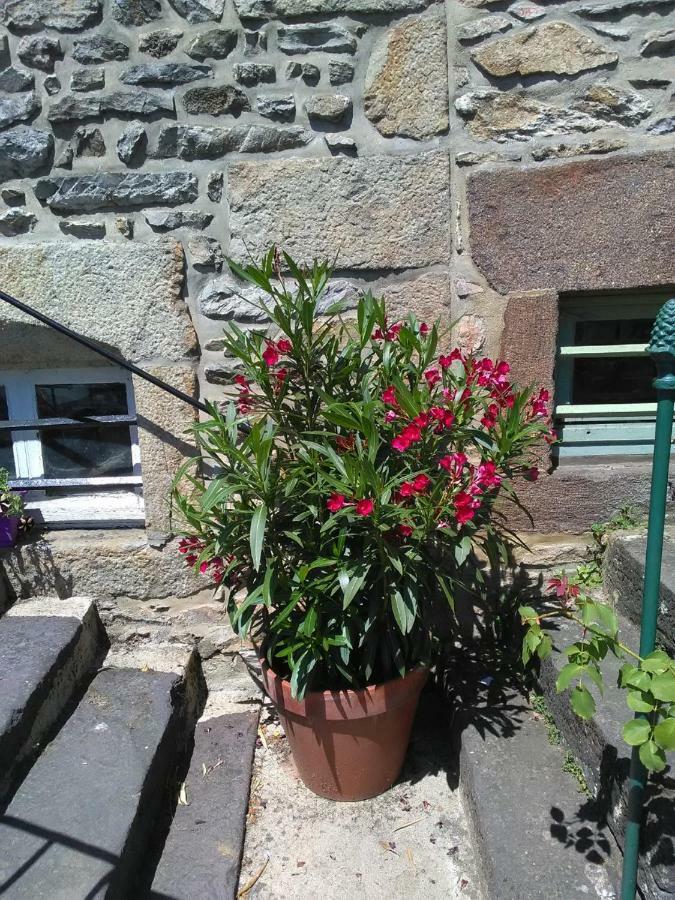 Le Refuge Des Alpes Mancelles Apartment Fresnay-sur-Sarthe Екстериор снимка